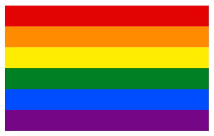 Rainbow Gay Pride Flag