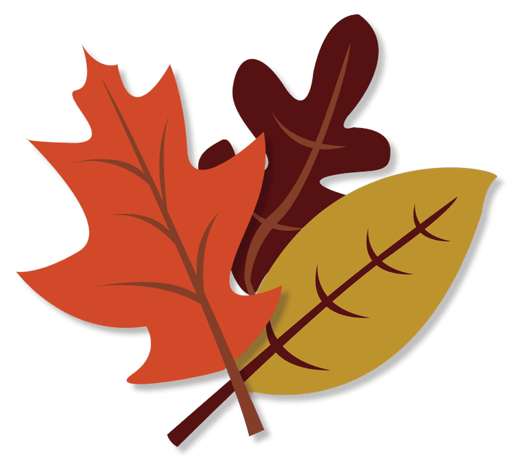 Fall Leaves