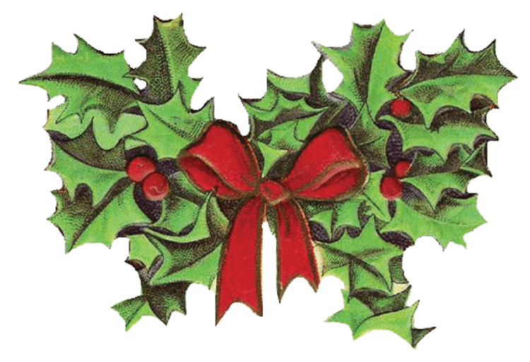 Christmas Holly