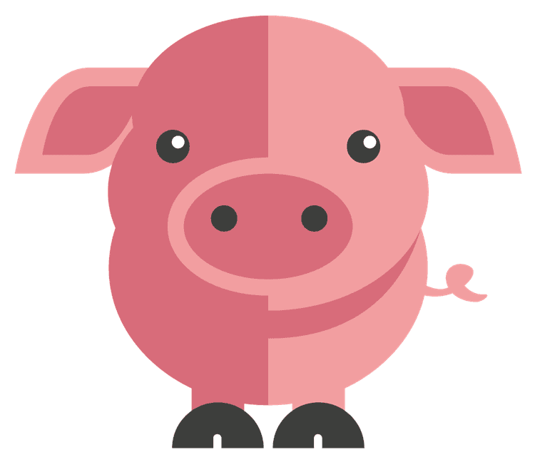 Pig