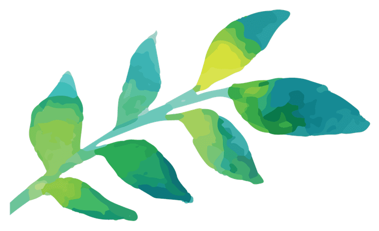 Green Watercolour Leaf