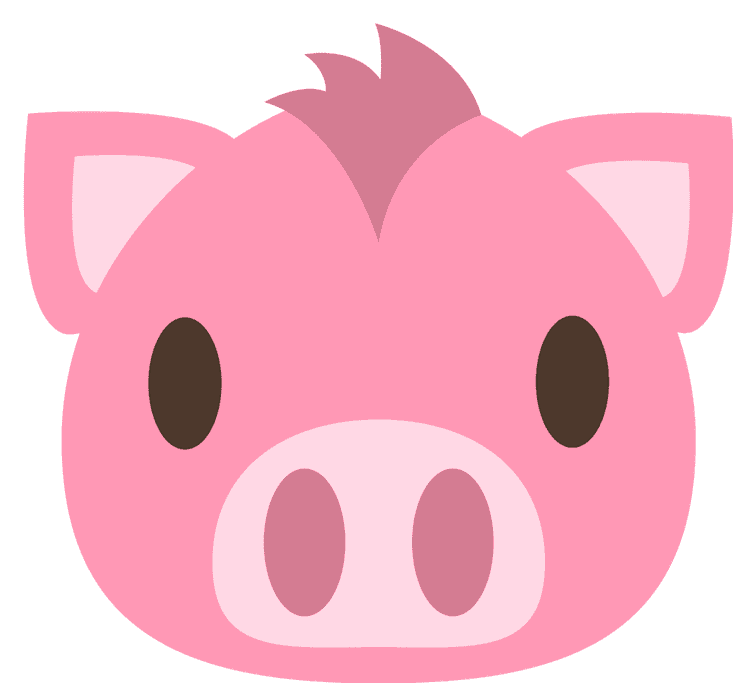Pig