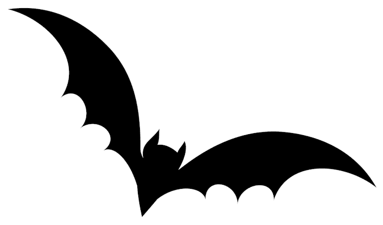 Bat