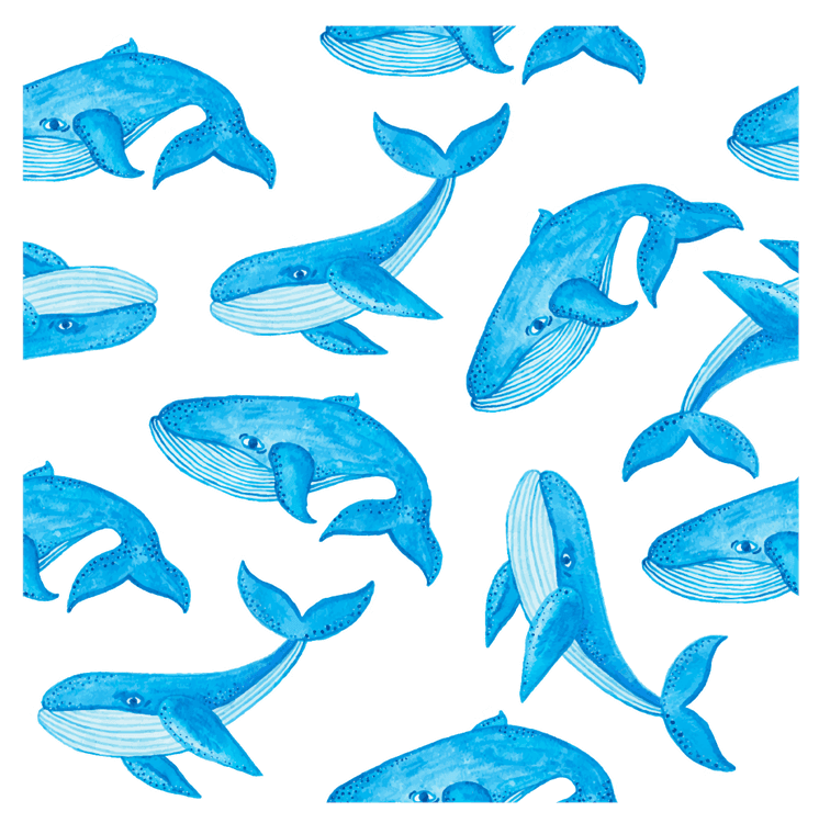 WhalePattern.png