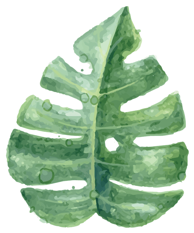 Tropical Leaf