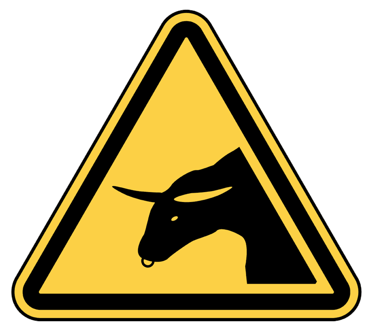 Beware of Bull