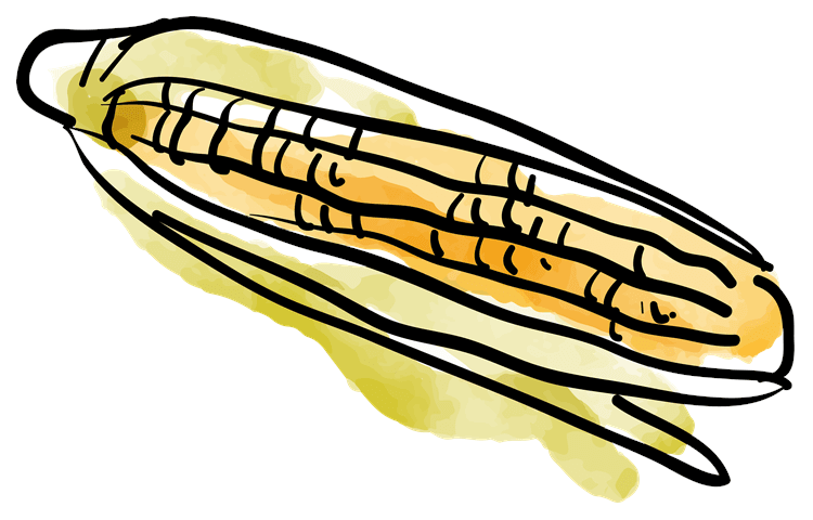 Corn
