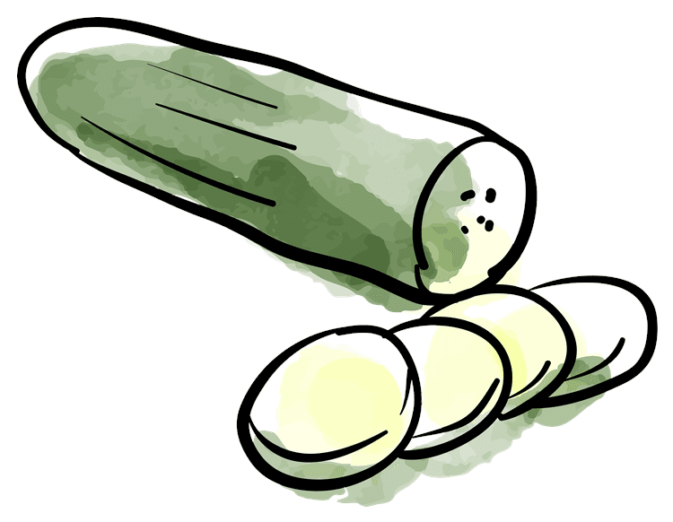 Cucumber