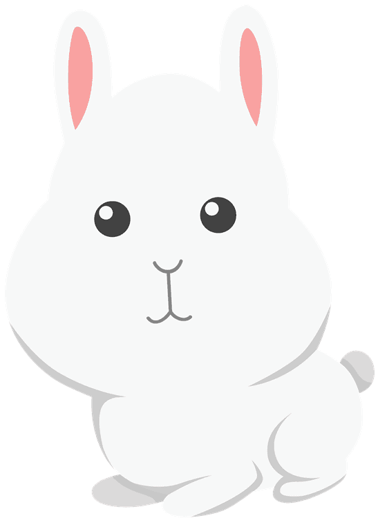 Cute Bunny