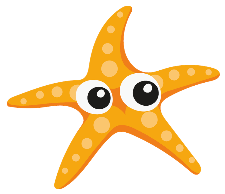 Cute Starfish
