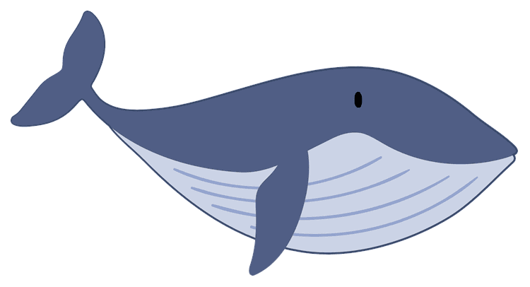 Whale 2