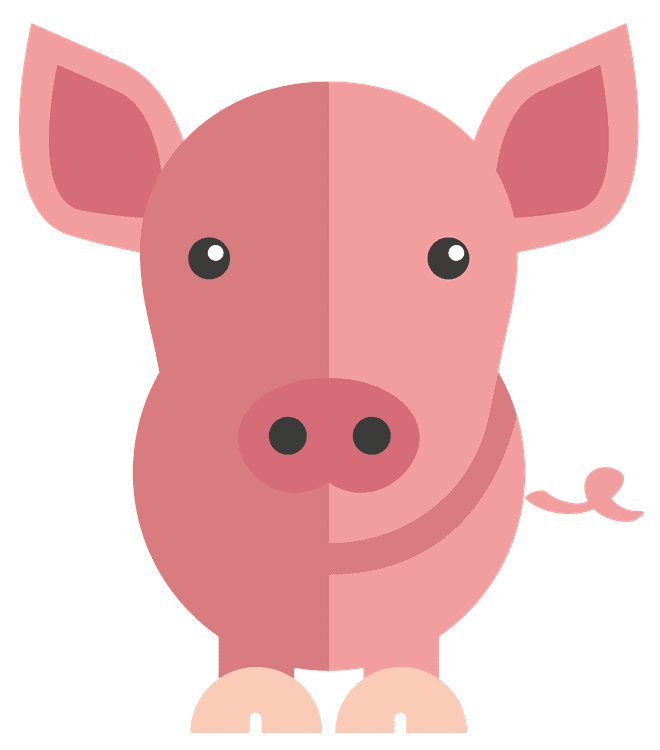 Pig