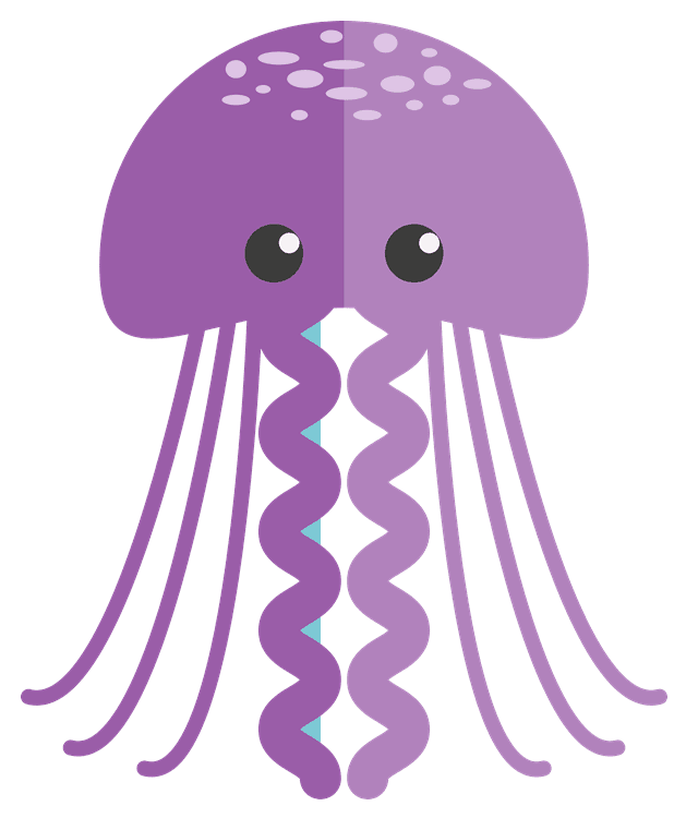 Jellyfish