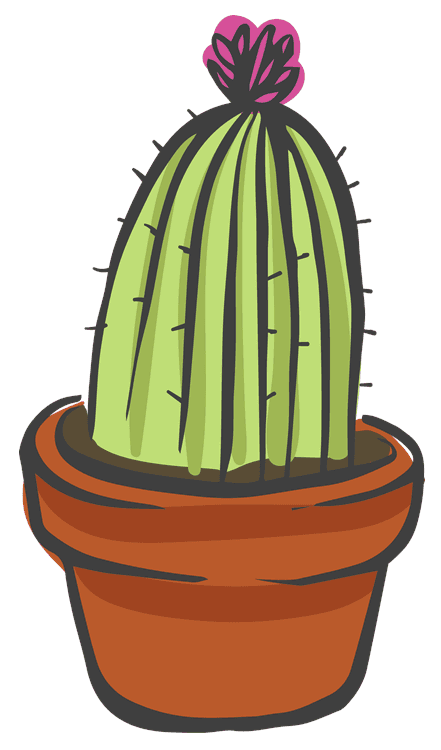 Cacti 3