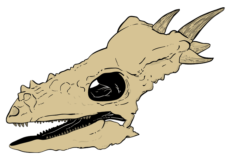 Dinosaur Skull