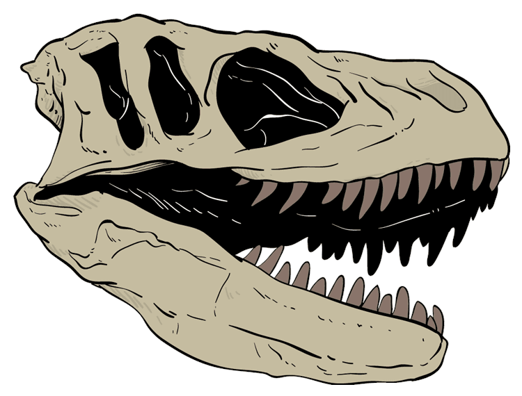 T-Rex Dinosaur Skull