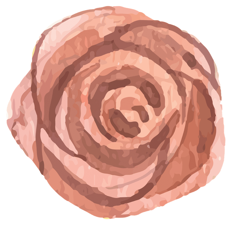 Peach Rose Flower