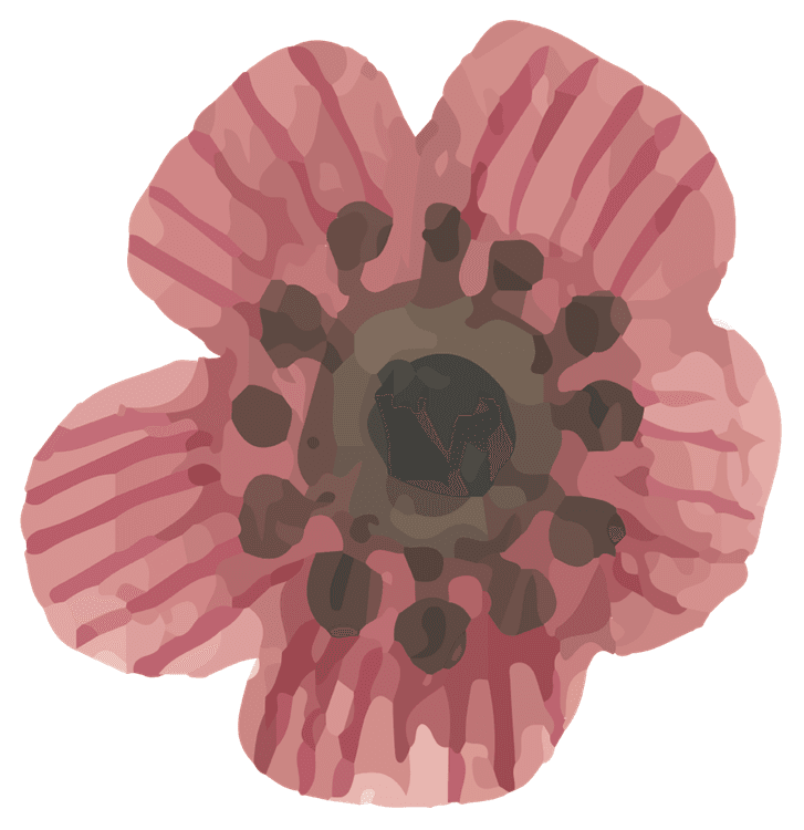 Watercolor Poppy Flower