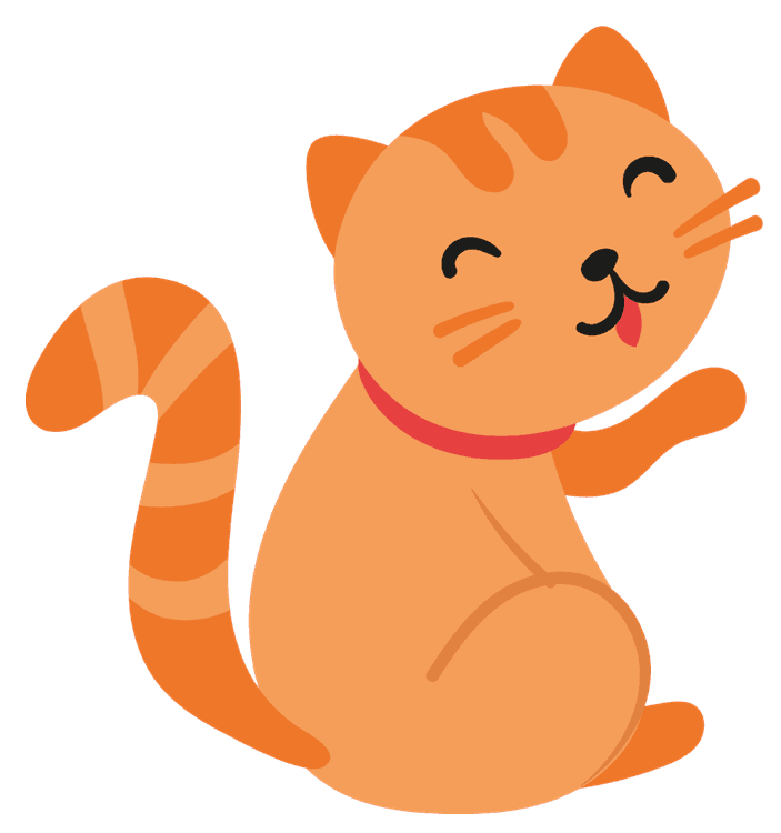 Orange Cat 