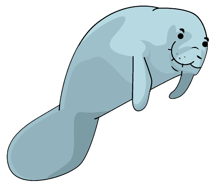 Floating Manatee