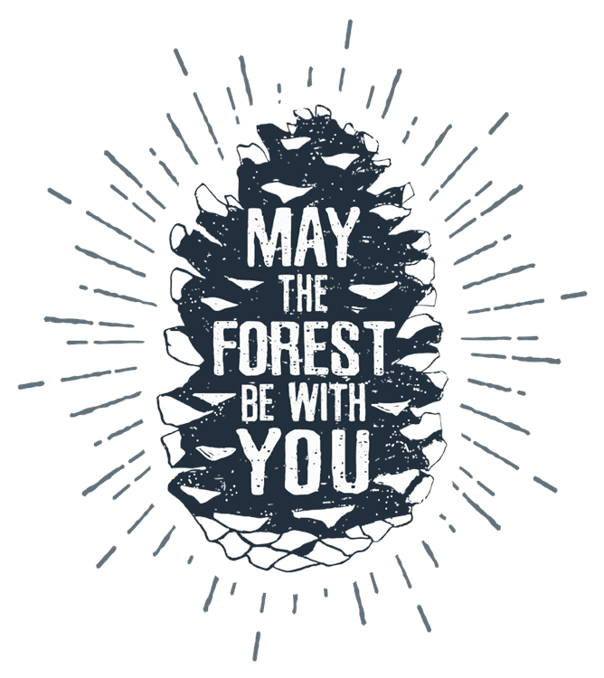 Forest Be With You Funny Camp
