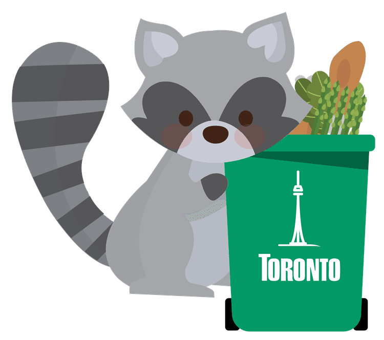 toronto-racoon.png