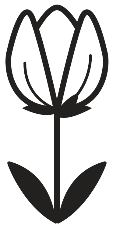 Black and White Tulip Flower