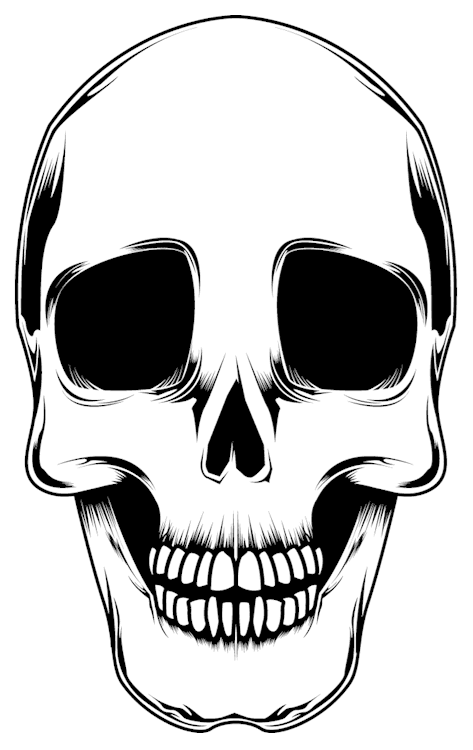 Skull Basic