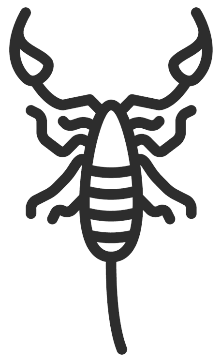 Scorpion Outline