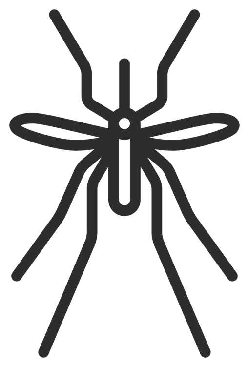 Mosquito Outline