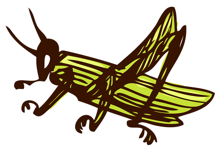 Grasshopper