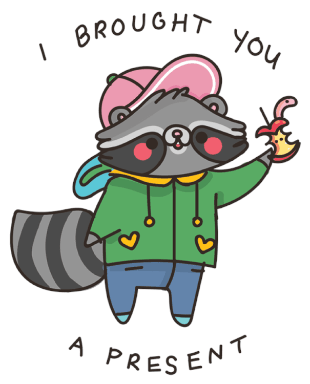 Sara-Sarhangpou-Raccoon.png