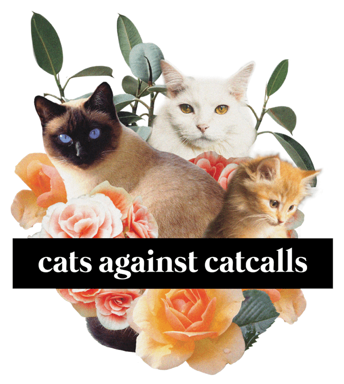 Cats against Cat Calls
