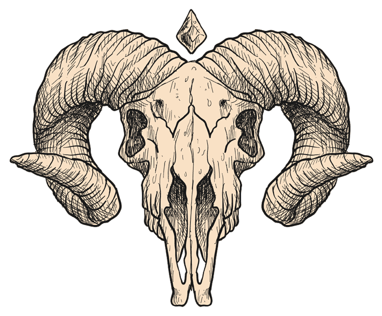 Goat Skull Sketch