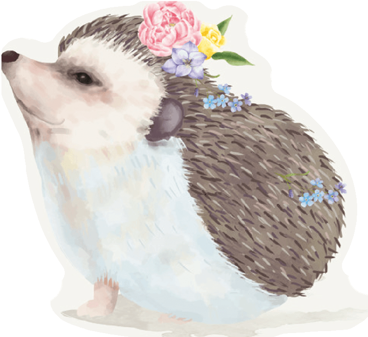 Hedgehog
