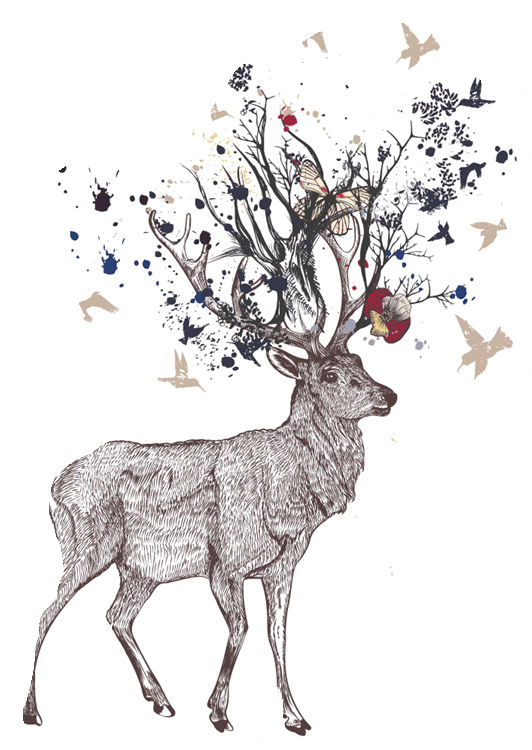 moose_Artboard 1.png