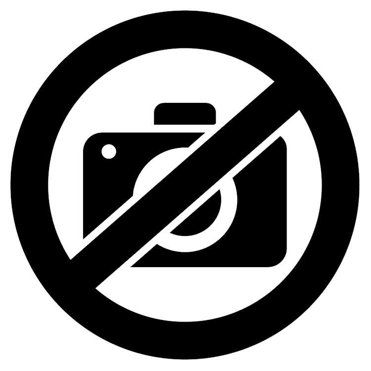 No Camera Icon