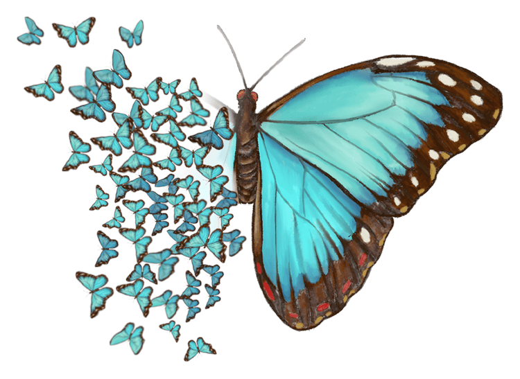 Aesthetic Butterfly Explosion