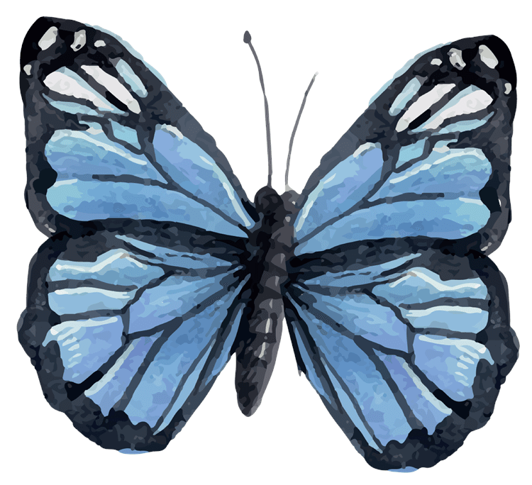 Blue Butterfly
