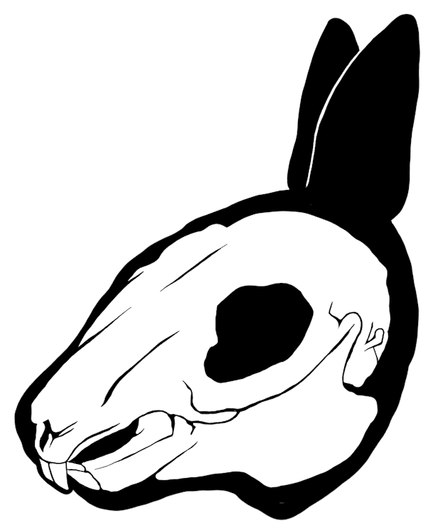 Bunny Skull