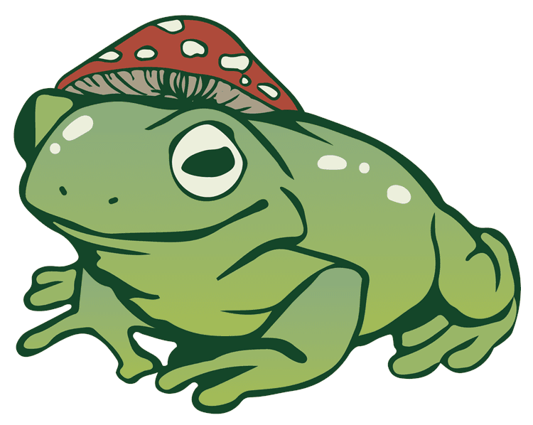 Frog and Mushroom Hat