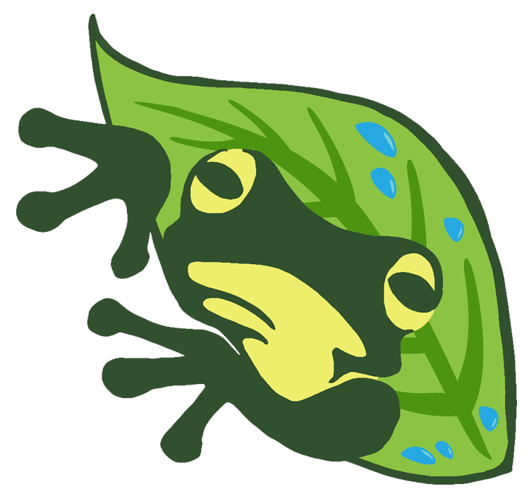 Rainy Leaf Frog