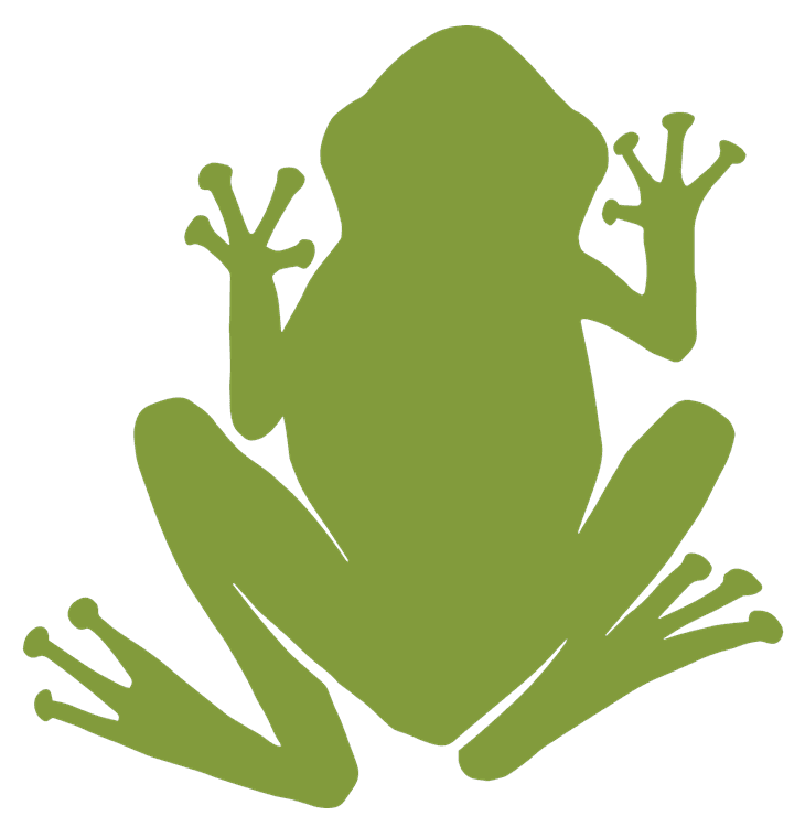 Green Frog Silhouette