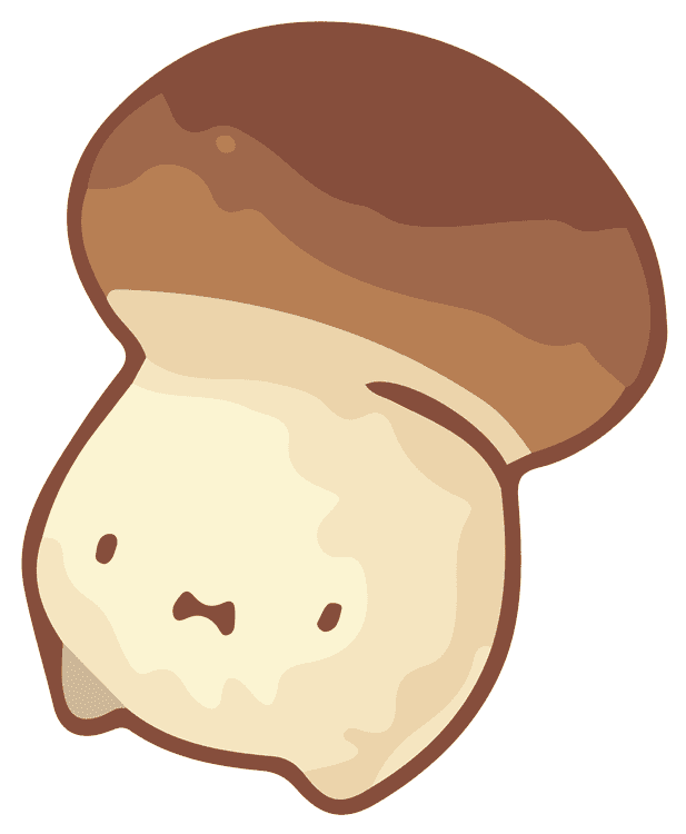 Kawaii King Bolete