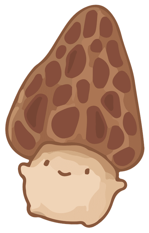 Kawaii Morel