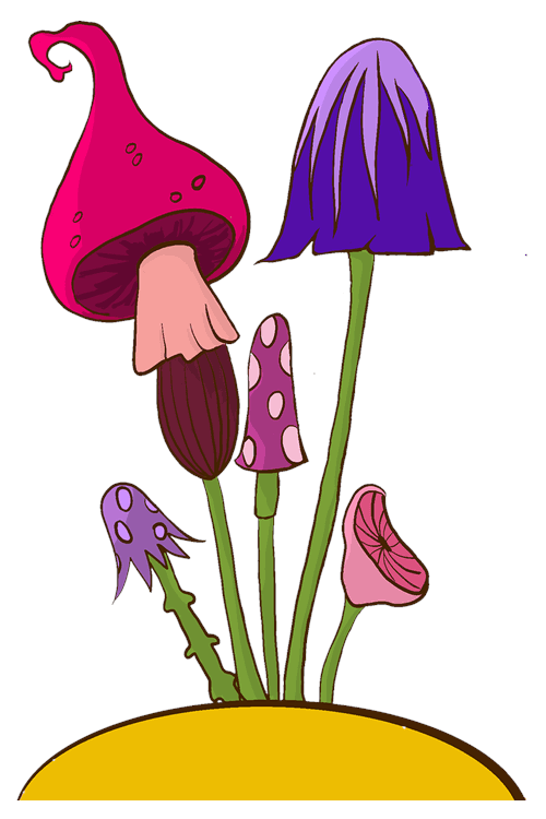 Mushroom Bouquet