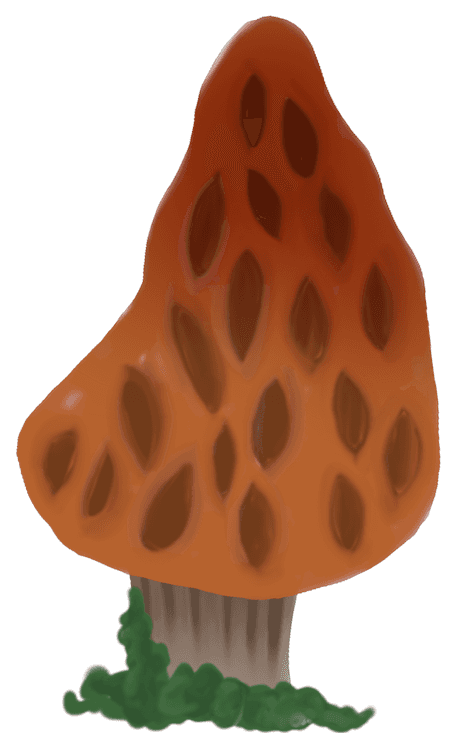 Whimsical Morel Mushroom