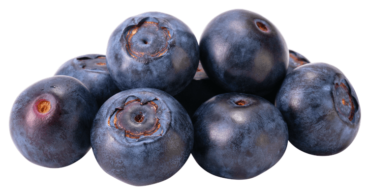 Blueberry bunch