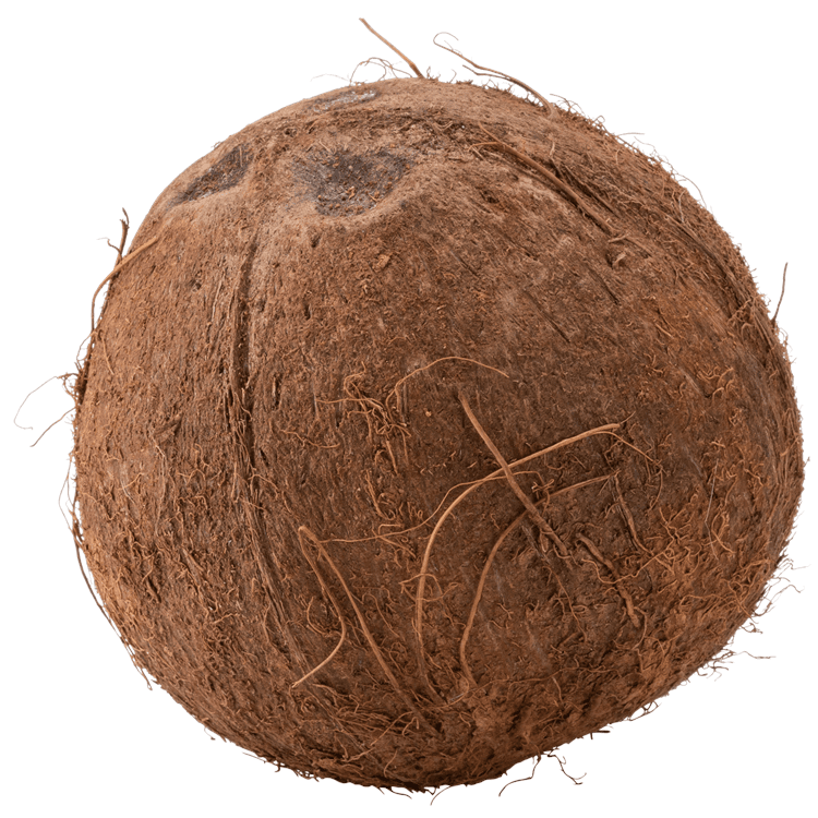 Coconut Whole