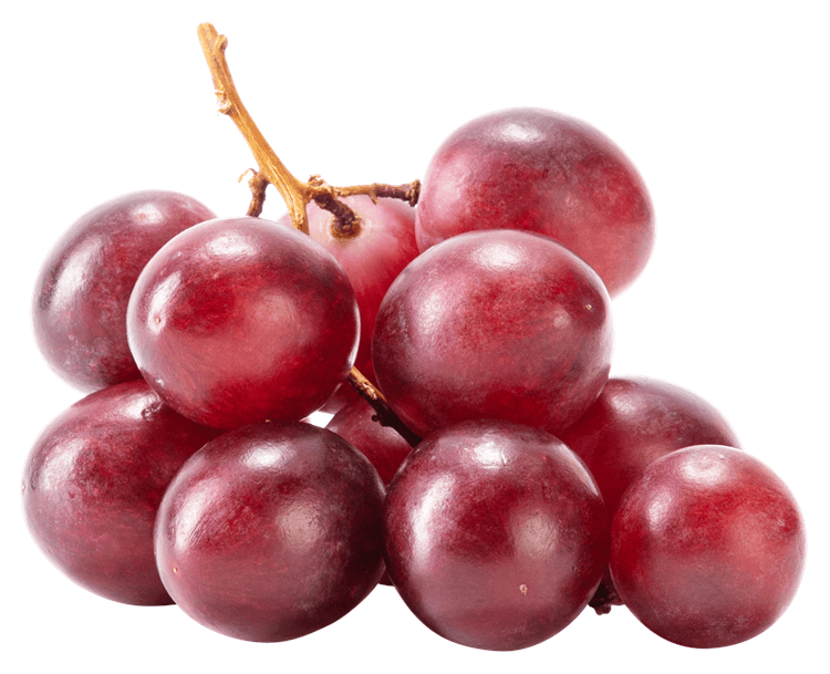 Grapes Bunch
